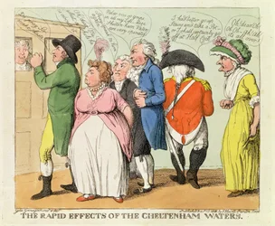 The Rapid Effects of the Cheltenham Waters